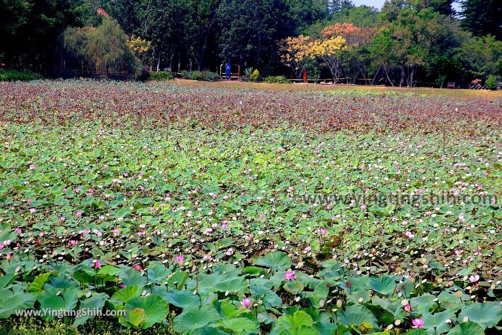 YTS_YTS_20191026_台中東勢林業文化園區／文化景觀Taichung Dongshih Forestry Culture Park073_539A8241.jpg