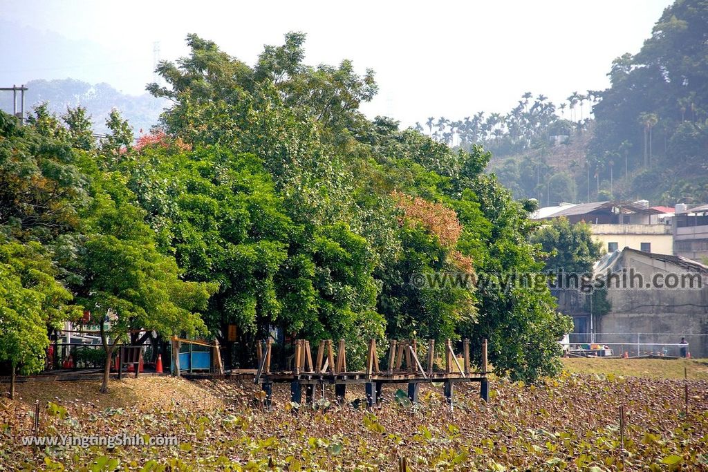 YTS_YTS_20191026_台中東勢林業文化園區／文化景觀Taichung Dongshih Forestry Culture Park078_539A8356.jpg