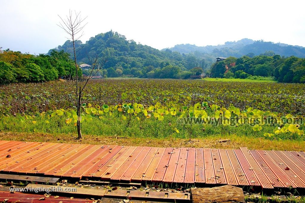 YTS_YTS_20191026_台中東勢林業文化園區／文化景觀Taichung Dongshih Forestry Culture Park080_539A8358.jpg