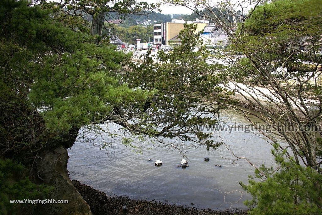 YTS_YTS_20190731_日本東北宮城松島瑞巌寺五大堂／中央廣場／自然公園Japan Tohoku Miyagi Matsushima Godaidō Temple035_539A3441.jpg