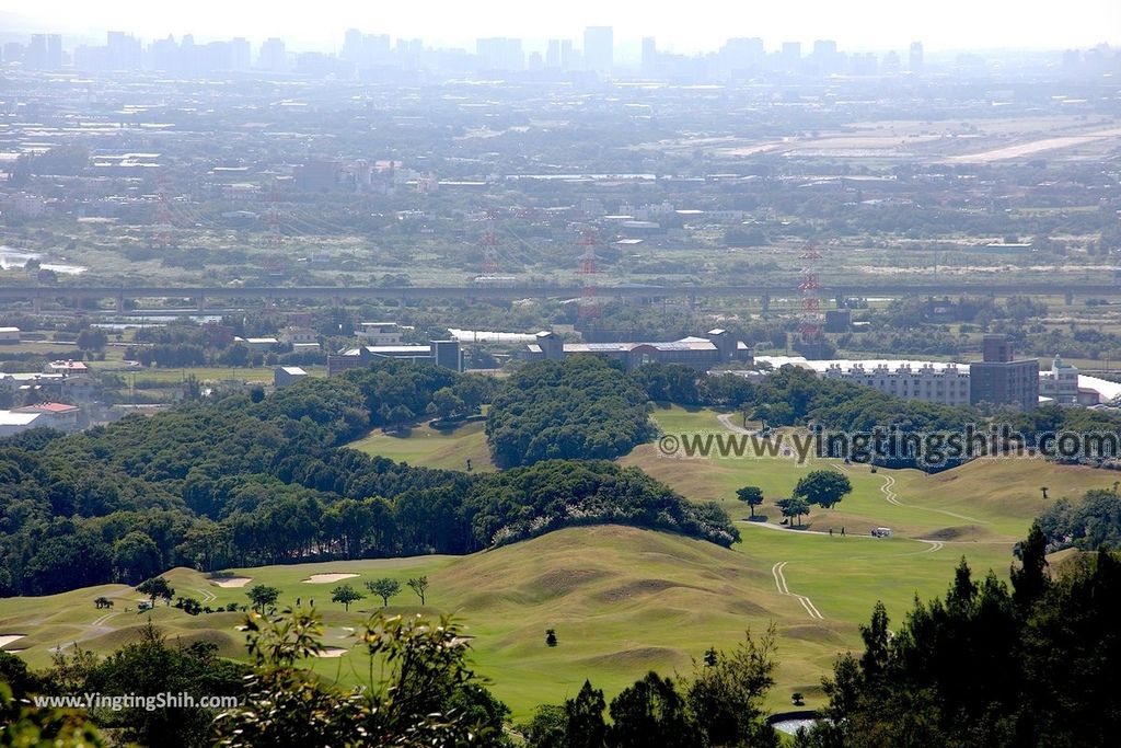 YTS_YTS_20191110_桃園蘆竹芒花花海／大古山福山宮／151高地拍飛機／飛鷹觀景平台Taoyuan Luzhu Dagushan Fushan Temple052_539A3804.jpg