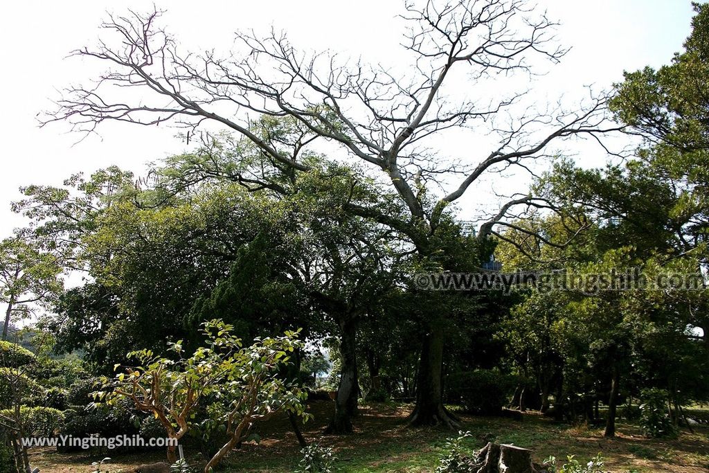 YTS_YTS_20191110_新北八里廖添丁廟／漢民祠／添丁公園／訊塘廣場New Taipei Bali Liao Tianding Temple065_539A3221.jpg