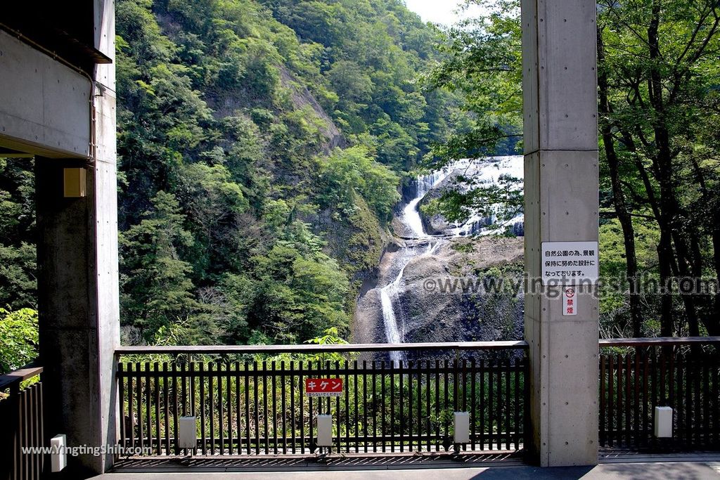 YTS_YTS_20190810_日本關東茨城日本三大名瀑／袋田の滝Japan Kanto Ibaraki Fukuroda Falls118_539A4277.jpg