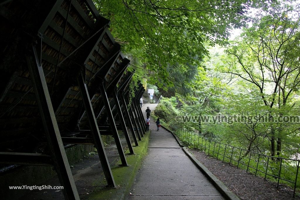 YTS_YTS_20190810_日本關東茨城日本三大名瀑／袋田の滝Japan Kanto Ibaraki Fukuroda Falls156_539A5147.jpg