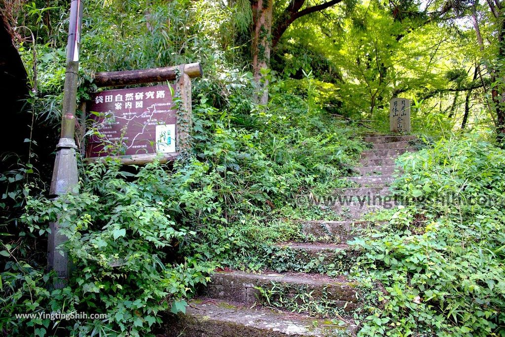 YTS_YTS_20190810_日本關東茨城日本三大名瀑／袋田の滝Japan Kanto Ibaraki Fukuroda Falls161_539A5156.jpg