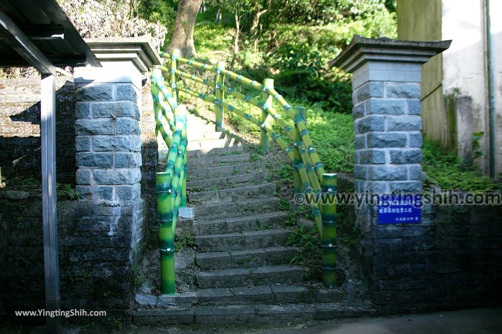 YTS_YTS_20191006_桃園大溪龍山寺登山步道／六顆百年荔枝樹Taoyuan Daxi Longshan Temple Trail040_539A9374.jpg