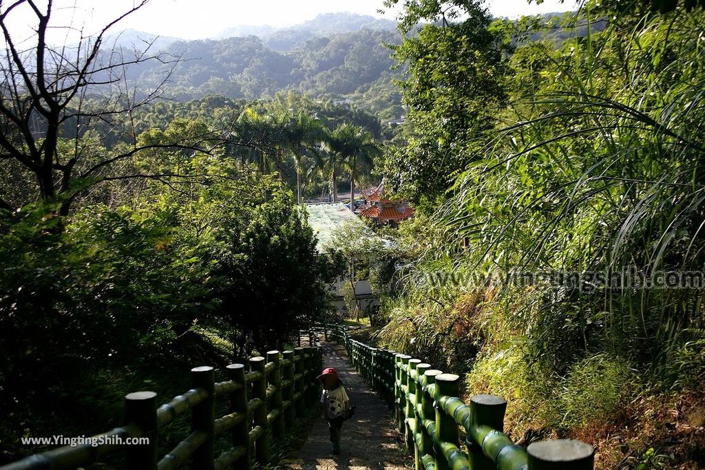 YTS_YTS_20191006_桃園大溪龍山寺登山步道／六顆百年荔枝樹Taoyuan Daxi Longshan Temple Trail041_539A9381.jpg