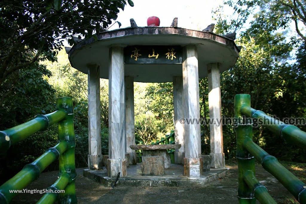 YTS_YTS_20191006_桃園大溪龍山寺登山步道／六顆百年荔枝樹Taoyuan Daxi Longshan Temple Trail045_539A9387.jpg