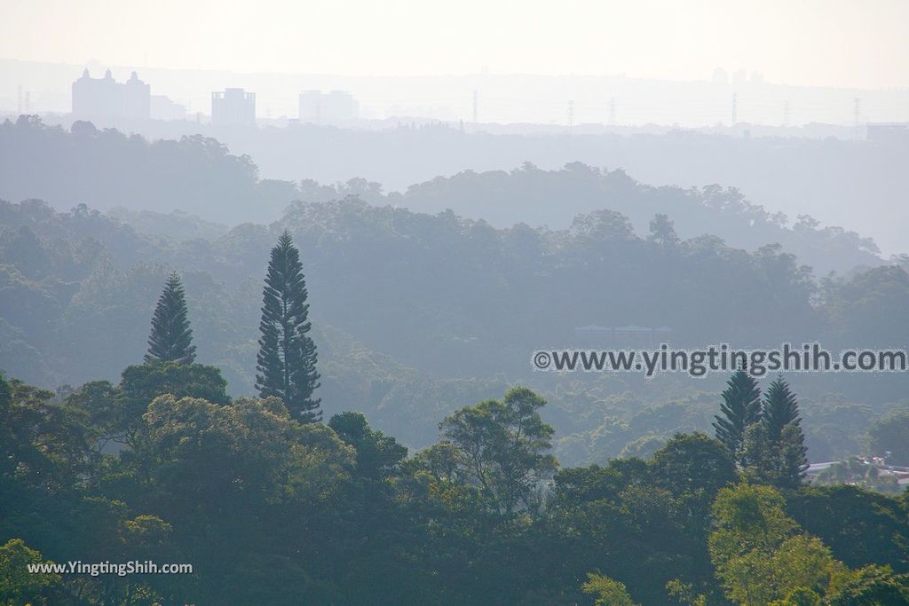 YTS_YTS_20191006_桃園大溪龍山寺登山步道／六顆百年荔枝樹Taoyuan Daxi Longshan Temple Trail056_539A9545.jpg