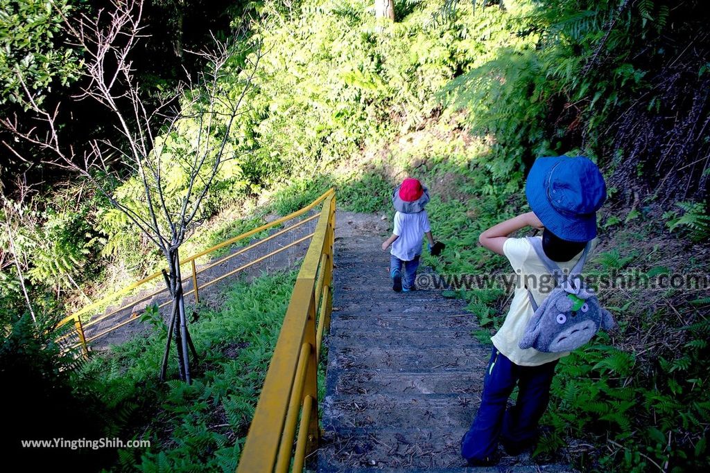 YTS_YTS_20191006_桃園大溪龍山寺登山步道／六顆百年荔枝樹Taoyuan Daxi Longshan Temple Trail059_539A9518.jpg