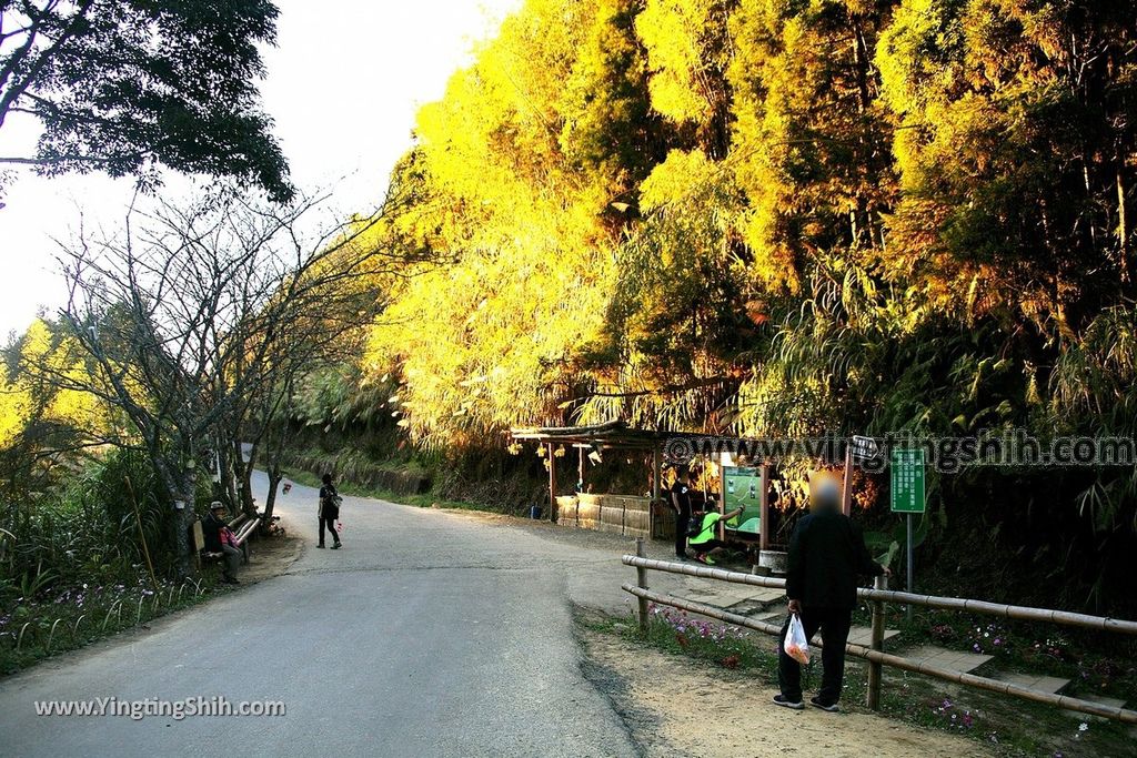 YTS_YTS_20191123_雲林古坑五元二角休憩綠廊／犁寮園區／竹炭窯Yunlin Gukeng Liliao Park007_539A7501.jpg