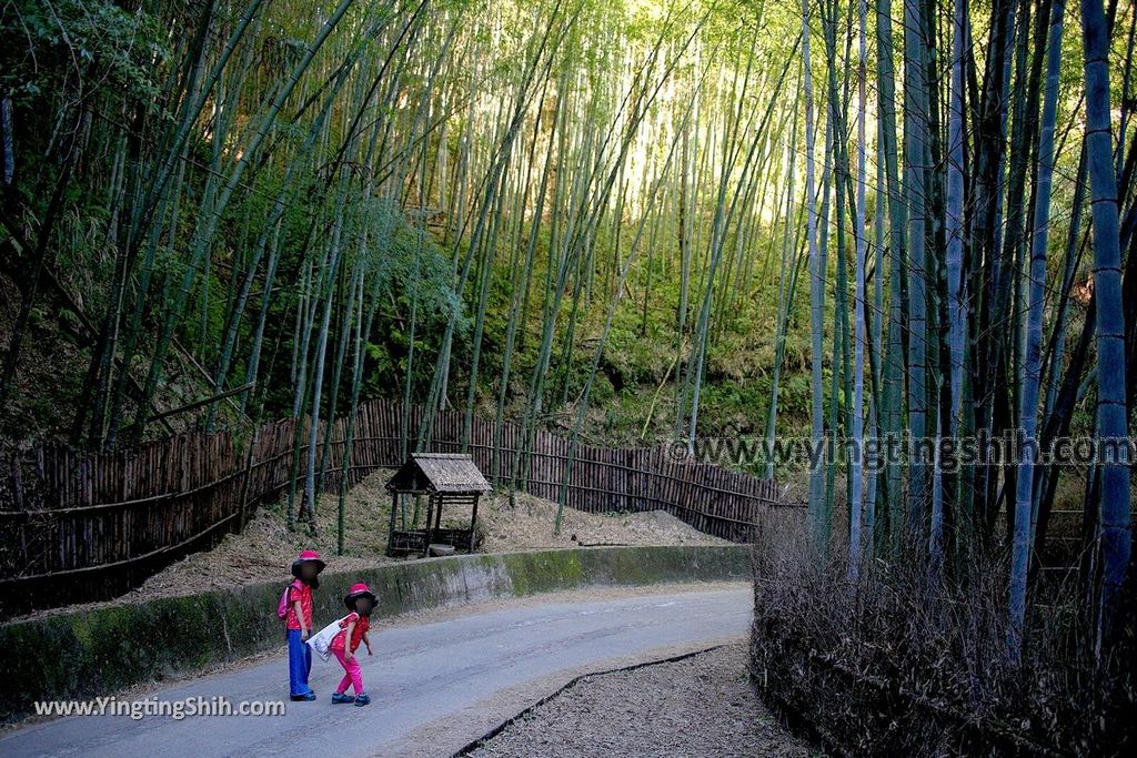 YTS_YTS_20191123_雲林古坑五元二角休憩綠廊／犁寮園區／竹炭窯Yunlin Gukeng Liliao Park019_539A7211.jpg