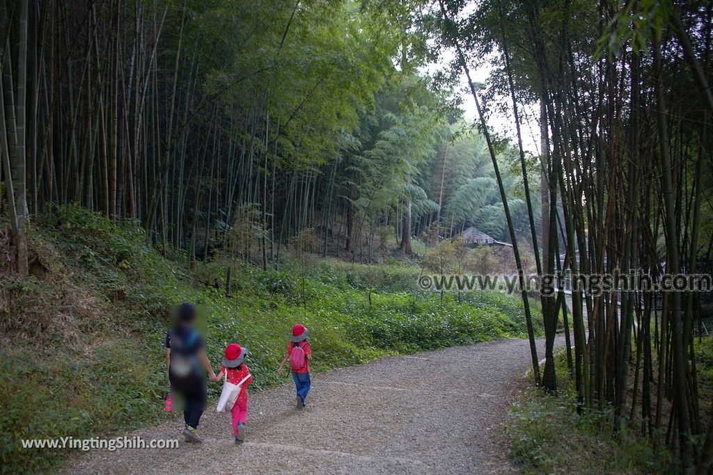 YTS_YTS_20191123_雲林古坑五元二角休憩綠廊／犁寮園區／竹炭窯Yunlin Gukeng Liliao Park051_539A7309.jpg