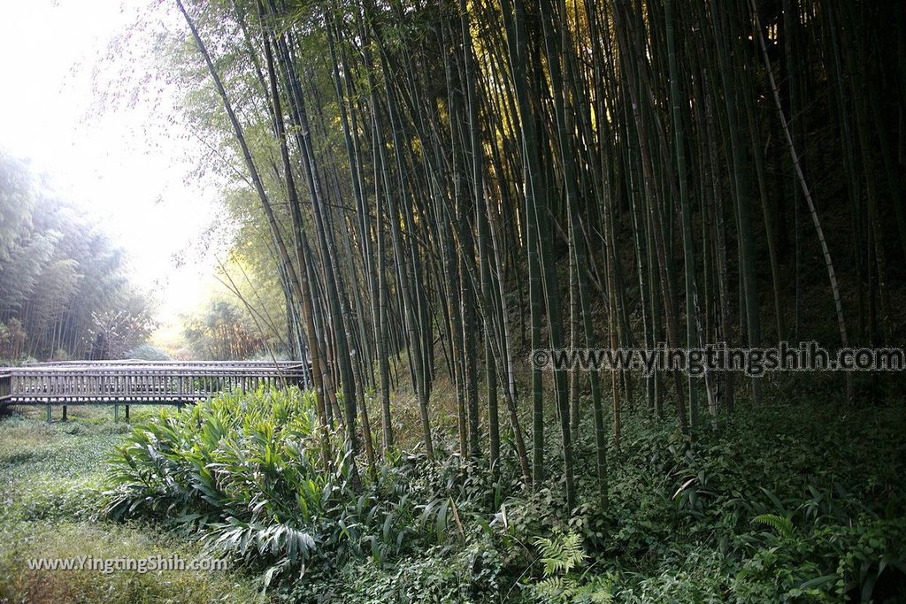 YTS_YTS_20191123_雲林古坑五元二角休憩綠廊／犁寮園區／竹炭窯Yunlin Gukeng Liliao Park067_539A7332.jpg