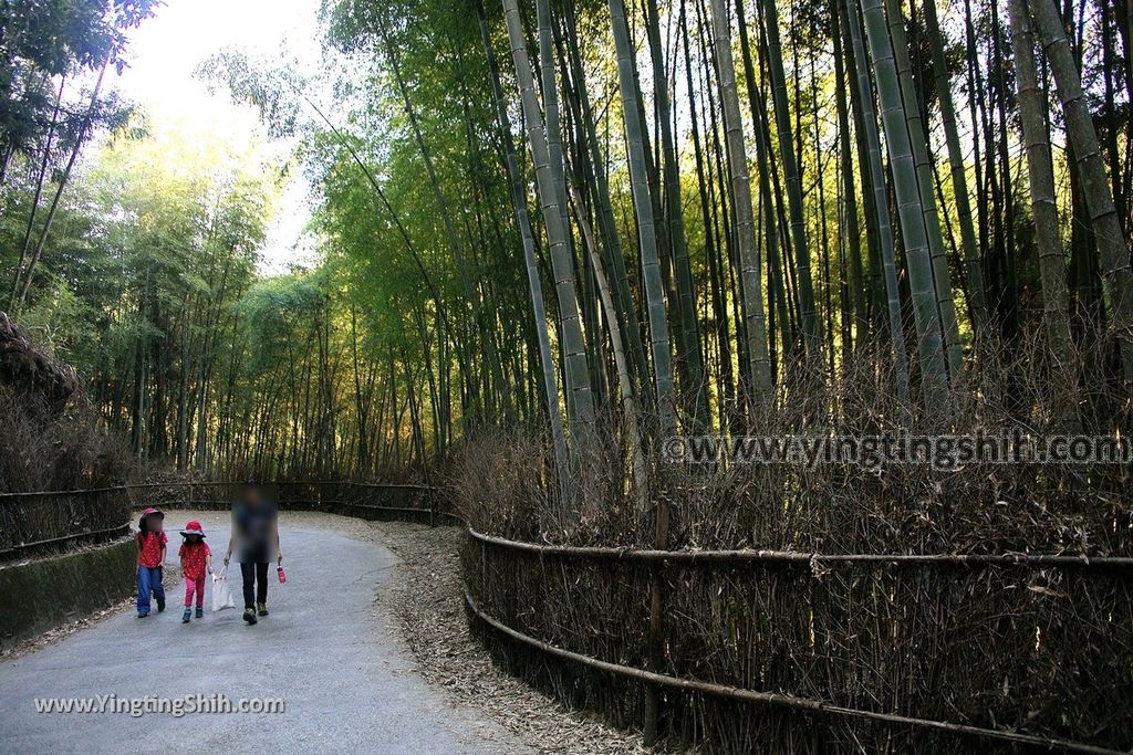 YTS_YTS_20191123_雲林古坑五元二角休憩綠廊／犁寮園區／竹炭窯Yunlin Gukeng Liliao Park072_539A7439.jpg