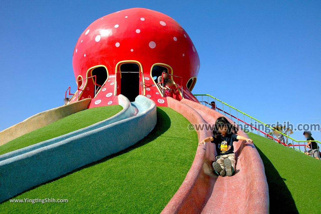 YTS_YTS_20191124_苗栗市區貓裏喵親子公園／苗栗縣議會Miaoli City Miaoli Cat Parent-child Park049_539A8555.jpg