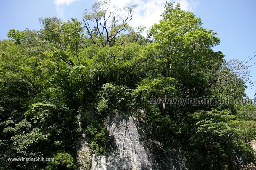 YTS_YTS_20190729_日本東北岩手一関猊鼻渓／遊覽船舟着場／運玉／潛龍潭Japan Tohoku Iwate Geibikei042_539A0021.jpg