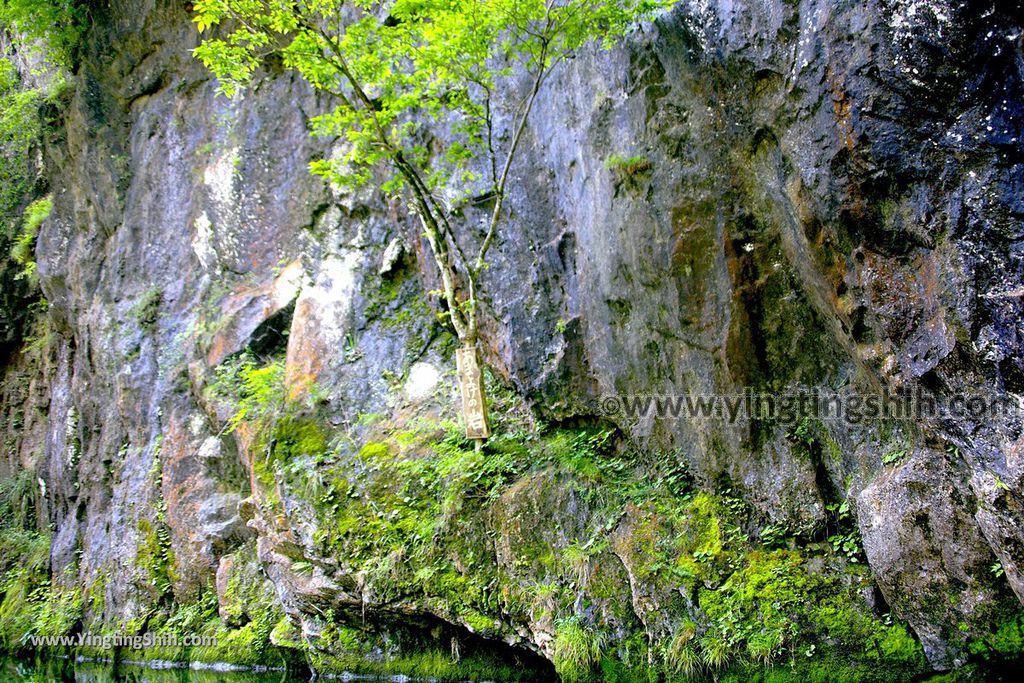 YTS_YTS_20190729_日本東北岩手一関猊鼻渓／遊覽船舟着場／運玉／潛龍潭Japan Tohoku Iwate Geibikei054_539A0307.jpg