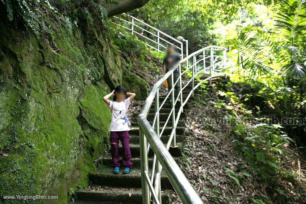 YTS_YTS_20190907_新北鶯歌碧龍宮登山步道／孫龍／碧龍／牛灶山步道New Taipei Yingge Bi-Long Temple Trail037_539A2845.jpg