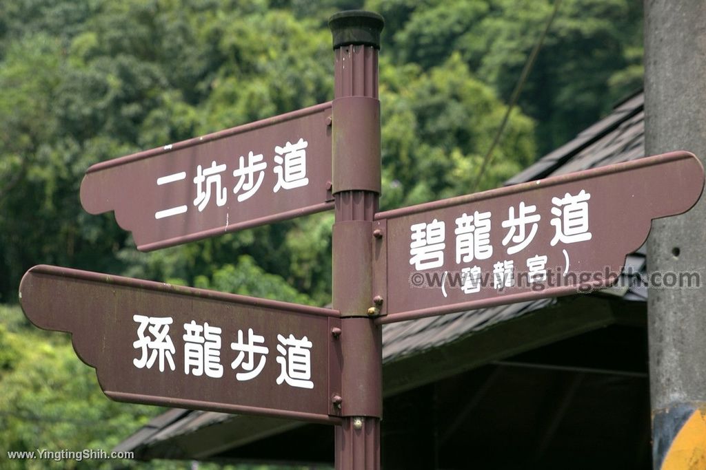 YTS_YTS_20190907_新北鶯歌碧龍宮登山步道／孫龍／碧龍／牛灶山步道New Taipei Yingge Bi-Long Temple Trail054_539A2873.jpg