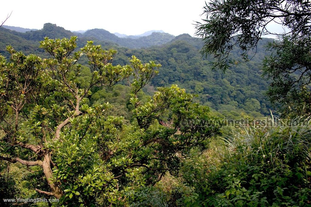 YTS_YTS_20190907_新北鶯歌碧龍宮登山步道／孫龍／碧龍／牛灶山步道New Taipei Yingge Bi-Long Temple Trail089_539A3009.jpg