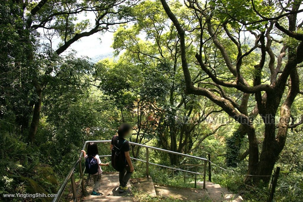 YTS_YTS_20190907_新北鶯歌碧龍宮登山步道／孫龍／碧龍／牛灶山步道New Taipei Yingge Bi-Long Temple Trail111_539A3049.jpg