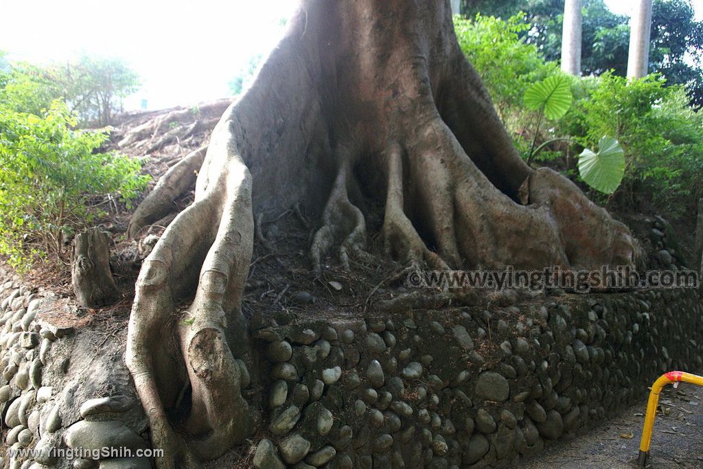 YTS_YTS_20191130_南投竹山郡守宿舍群／椰子防空壕Nantou Zhushan Coconut Shelter023_539A0091.jpg