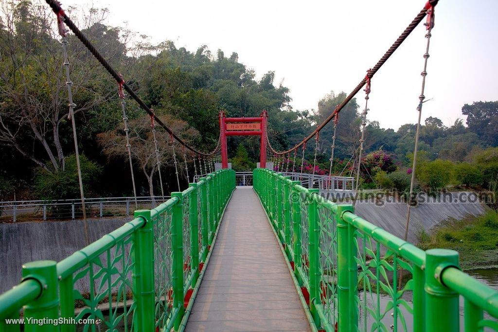 YTS_YTS_20191130_南投竹山下坪吊橋／三月雪垂枝女貞步道Nantou Zhushan Xiaping Suspension Bridge027_539A9947.jpg