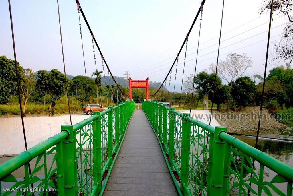 YTS_YTS_20191130_南投竹山下坪吊橋／三月雪垂枝女貞步道Nantou Zhushan Xiaping Suspension Bridge036_539A9969.jpg