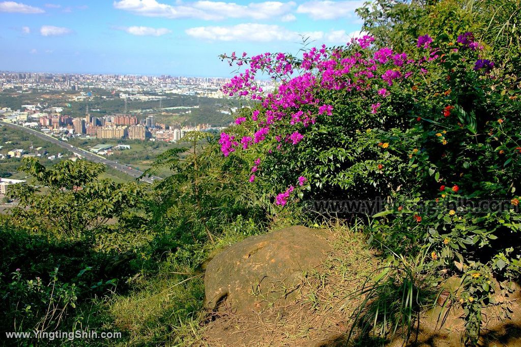 YTS_YTS_20191208_新北三峽鳶山彩壁／光復紀念大鐘／長春嶺New Taipei Sanxia Yuan Shan Color Wall Hiking Trail074_539A2661.jpg