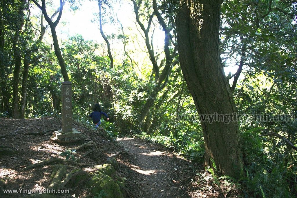 YTS_YTS_20191208_新北三峽鳶山彩壁／光復紀念大鐘／長春嶺New Taipei Sanxia Yuan Shan Color Wall Hiking Trail081_539A2673.jpg