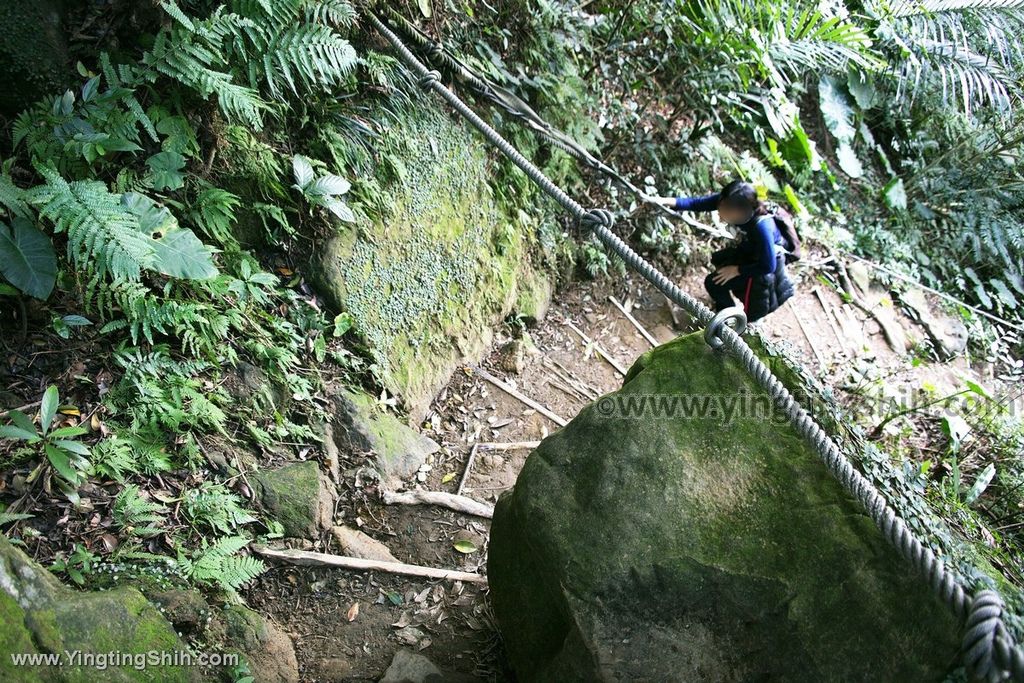 YTS_YTS_20191208_新北三峽鳶山彩壁／光復紀念大鐘／長春嶺New Taipei Sanxia Yuan Shan Color Wall Hiking Trail094_539A2699.jpg