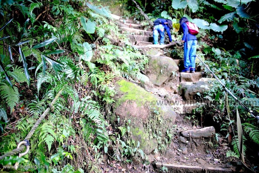 YTS_YTS_20191208_新北三峽鳶山彩壁／光復紀念大鐘／長春嶺New Taipei Sanxia Yuan Shan Color Wall Hiking Trail093_539A2697.jpg