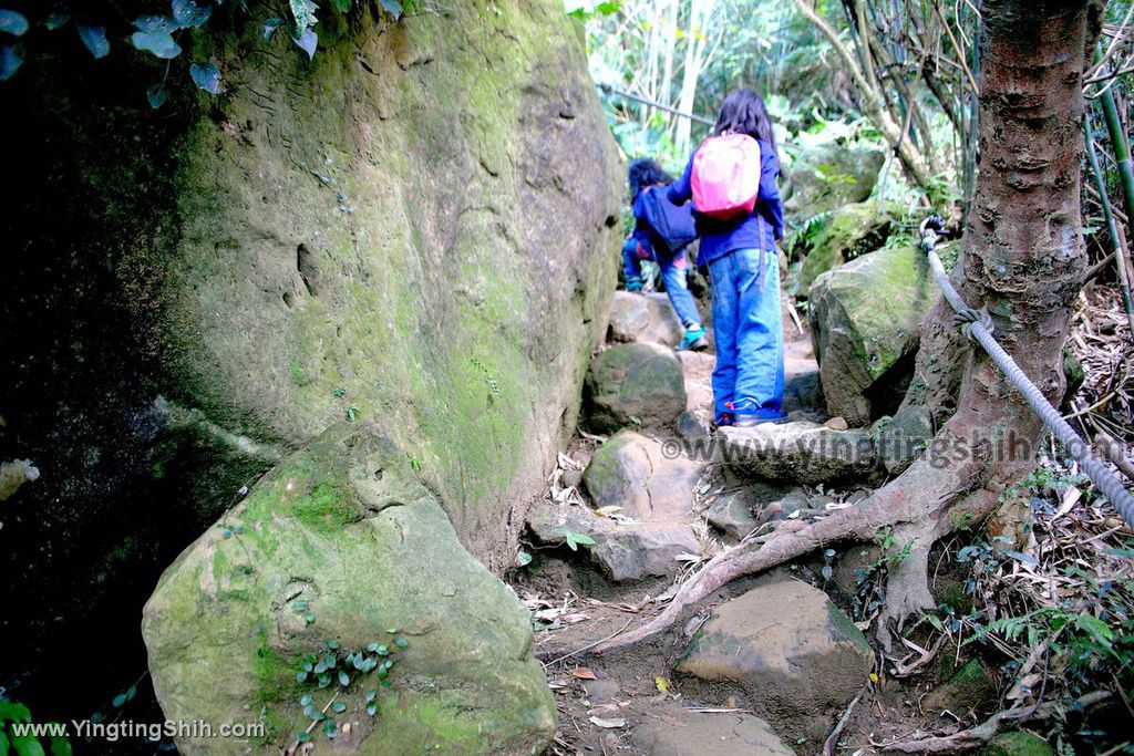 YTS_YTS_20191208_新北三峽鳶山彩壁／光復紀念大鐘／長春嶺New Taipei Sanxia Yuan Shan Color Wall Hiking Trail092_539A2695.jpg