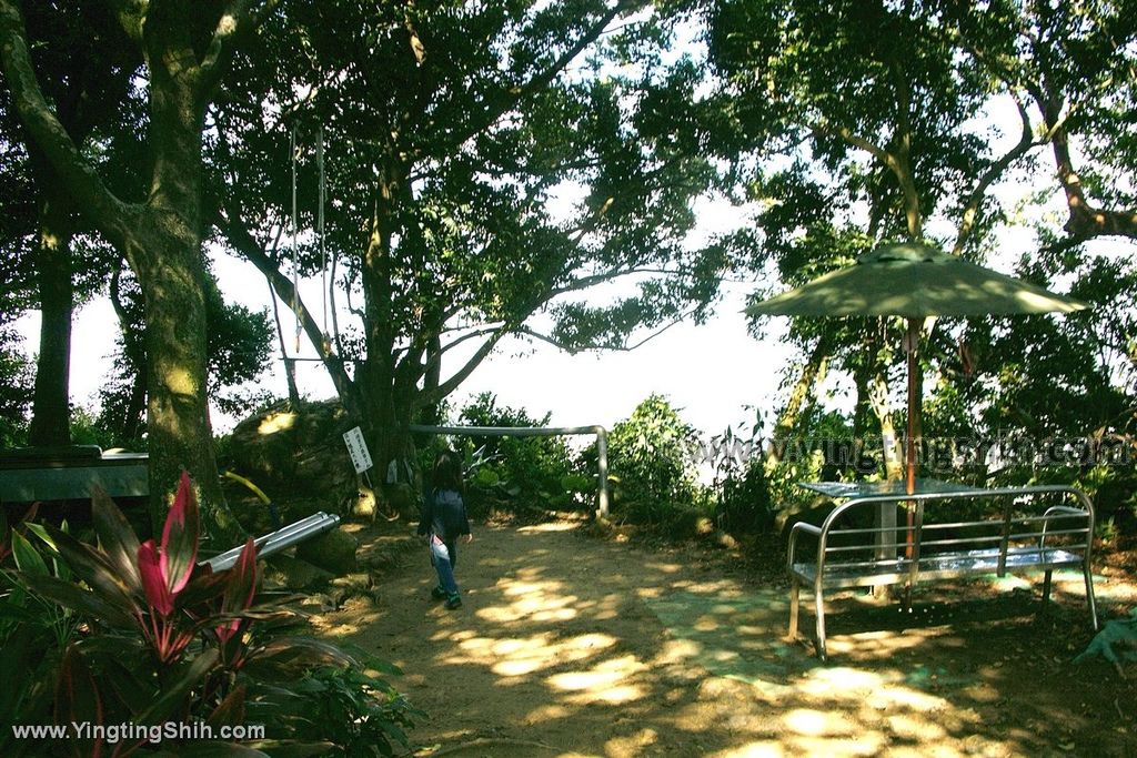 YTS_YTS_20191208_新北三峽鳶山彩壁／光復紀念大鐘／長春嶺New Taipei Sanxia Yuan Shan Color Wall Hiking Trail100_539A2708.jpg