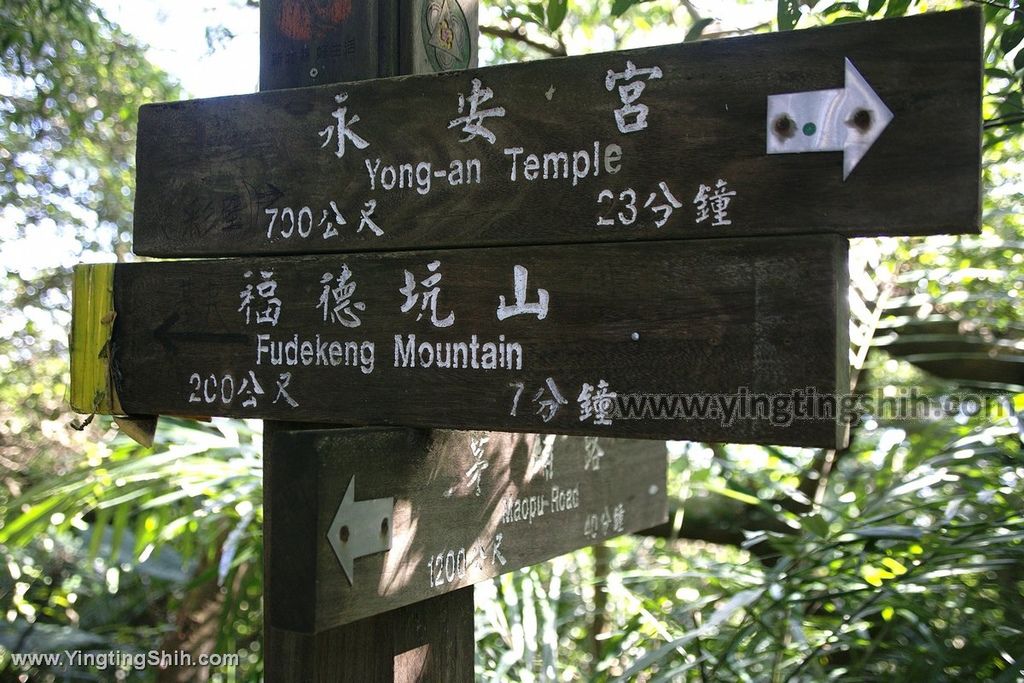 YTS_YTS_20191208_新北三峽鳶山彩壁／光復紀念大鐘／長春嶺New Taipei Sanxia Yuan Shan Color Wall Hiking Trail118_539A2760.jpg