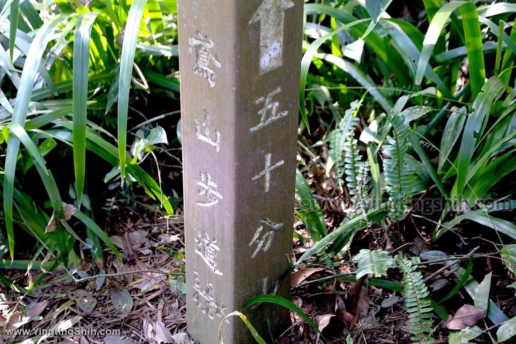 YTS_YTS_20191208_新北三峽鳶山彩壁／光復紀念大鐘／長春嶺New Taipei Sanxia Yuan Shan Color Wall Hiking Trail122_539A2769.jpg