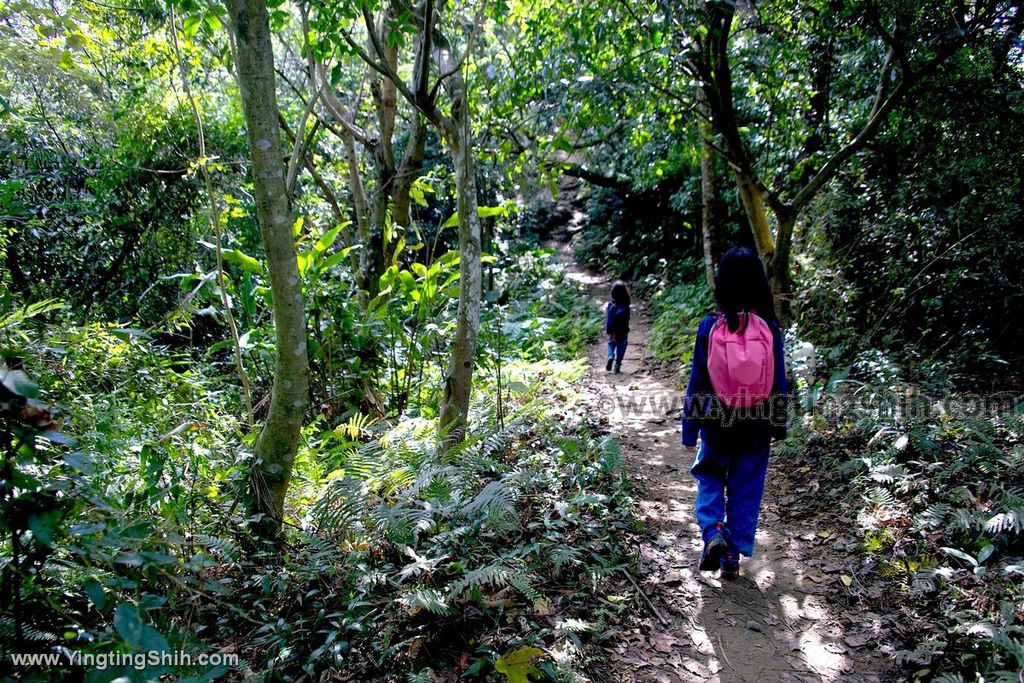 YTS_YTS_20191208_新北三峽鳶山彩壁／光復紀念大鐘／長春嶺New Taipei Sanxia Yuan Shan Color Wall Hiking Trail119_539A2762.jpg