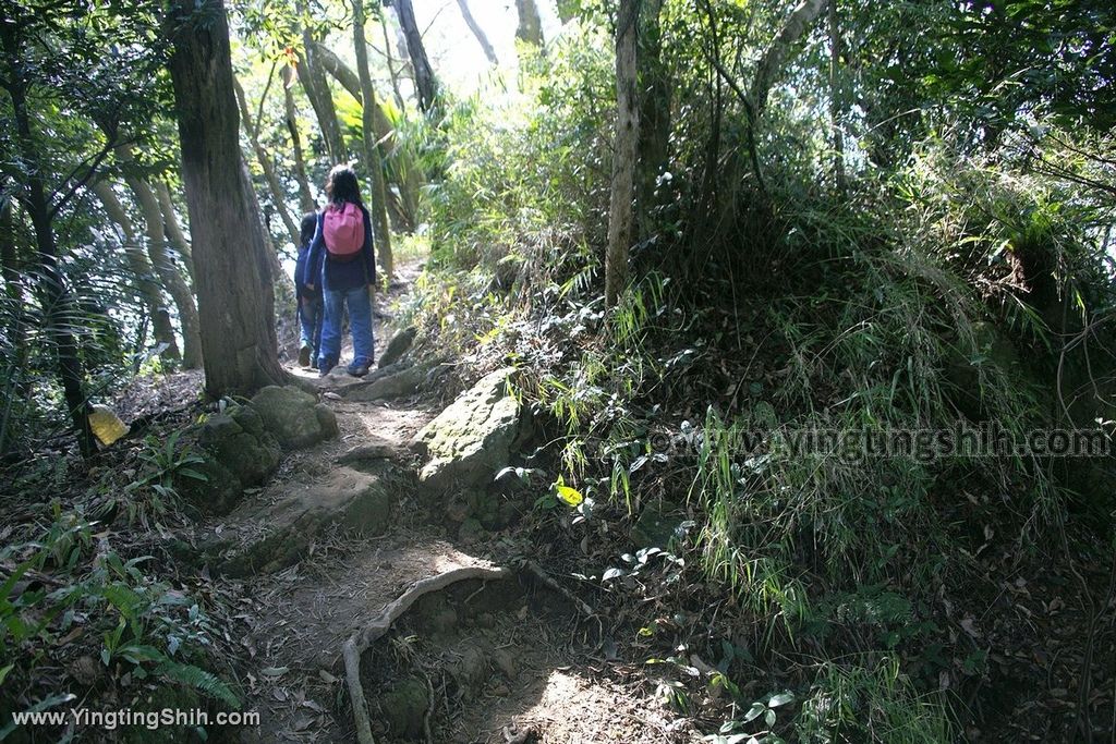 YTS_YTS_20191208_新北三峽鳶山彩壁／光復紀念大鐘／長春嶺New Taipei Sanxia Yuan Shan Color Wall Hiking Trail123_539A2770.jpg