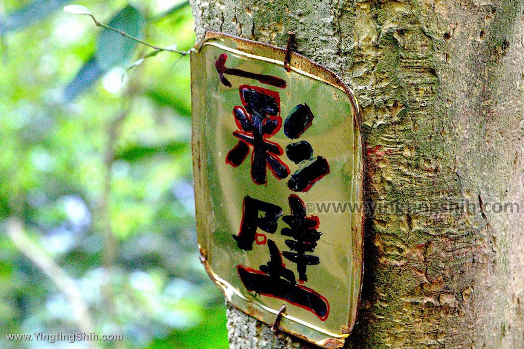 YTS_YTS_20191208_新北三峽鳶山彩壁／光復紀念大鐘／長春嶺New Taipei Sanxia Yuan Shan Color Wall Hiking Trail157_539A2839.jpg