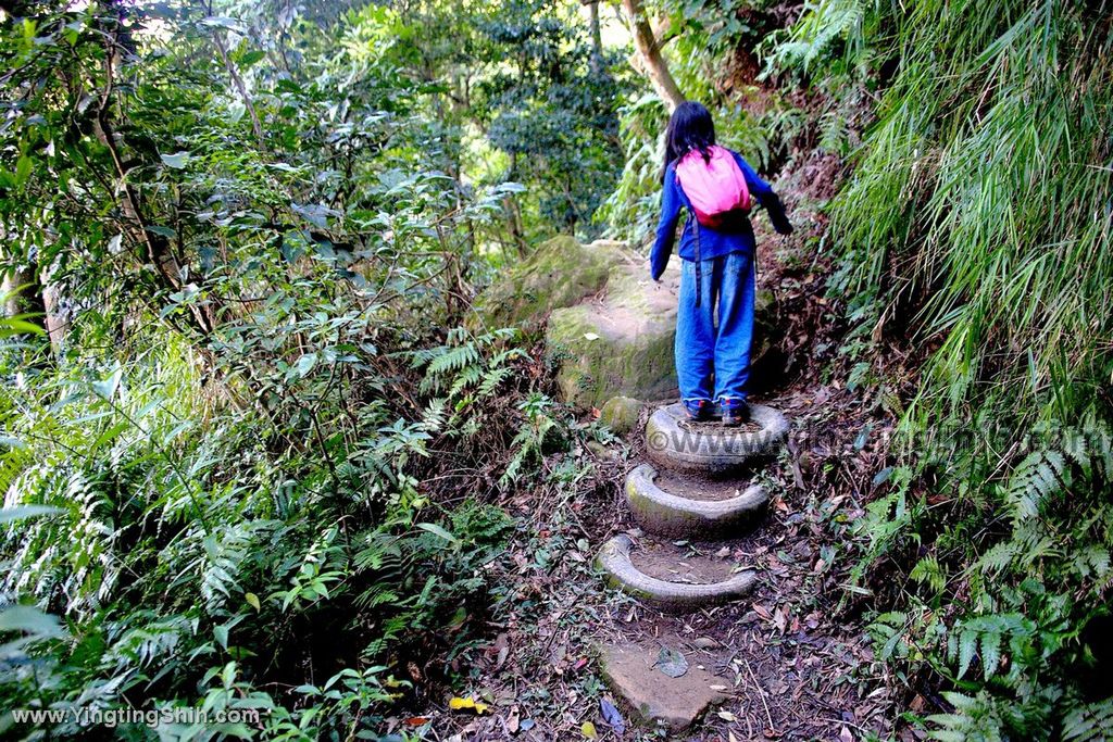 YTS_YTS_20191208_新北三峽鳶山彩壁／光復紀念大鐘／長春嶺New Taipei Sanxia Yuan Shan Color Wall Hiking Trail171_539A2863.jpg