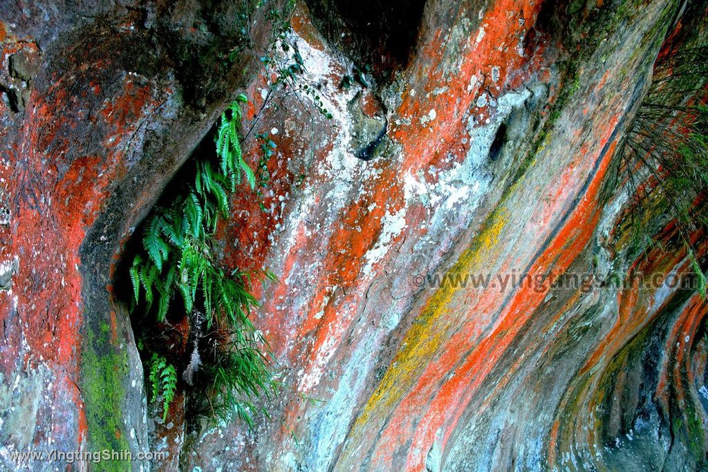 YTS_YTS_20191208_新北三峽鳶山彩壁／光復紀念大鐘／長春嶺New Taipei Sanxia Yuan Shan Color Wall Hiking Trail179_539A3049.jpg