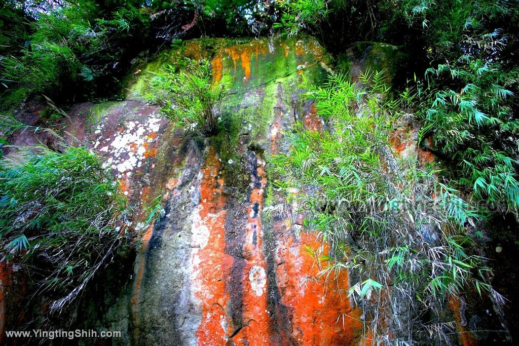 YTS_YTS_20191208_新北三峽鳶山彩壁／光復紀念大鐘／長春嶺New Taipei Sanxia Yuan Shan Color Wall Hiking Trail178_539A2965.jpg