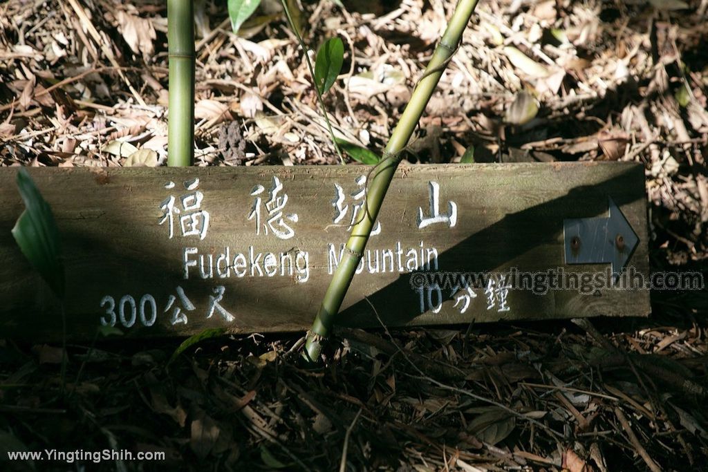 YTS_YTS_20191208_新北三峽鳶山彩壁／光復紀念大鐘／長春嶺New Taipei Sanxia Yuan Shan Color Wall Hiking Trail194_539A3164.jpg