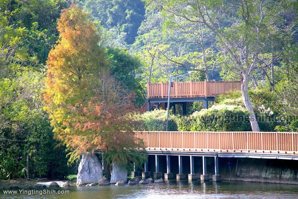 YTS_YTS_20191207_苗栗三灣銅鏡山林步道／環湖步道／三灣大草原／大龍崗湖Miaoli Sanwan Tongjing Forest Trail023_539A1110.jpg