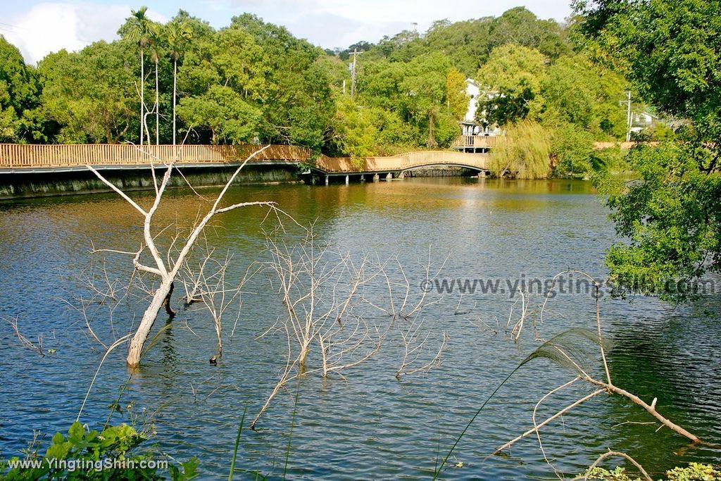 YTS_YTS_20191207_苗栗三灣銅鏡山林步道／環湖步道／三灣大草原／大龍崗湖Miaoli Sanwan Tongjing Forest Trail081_539A1302.jpg