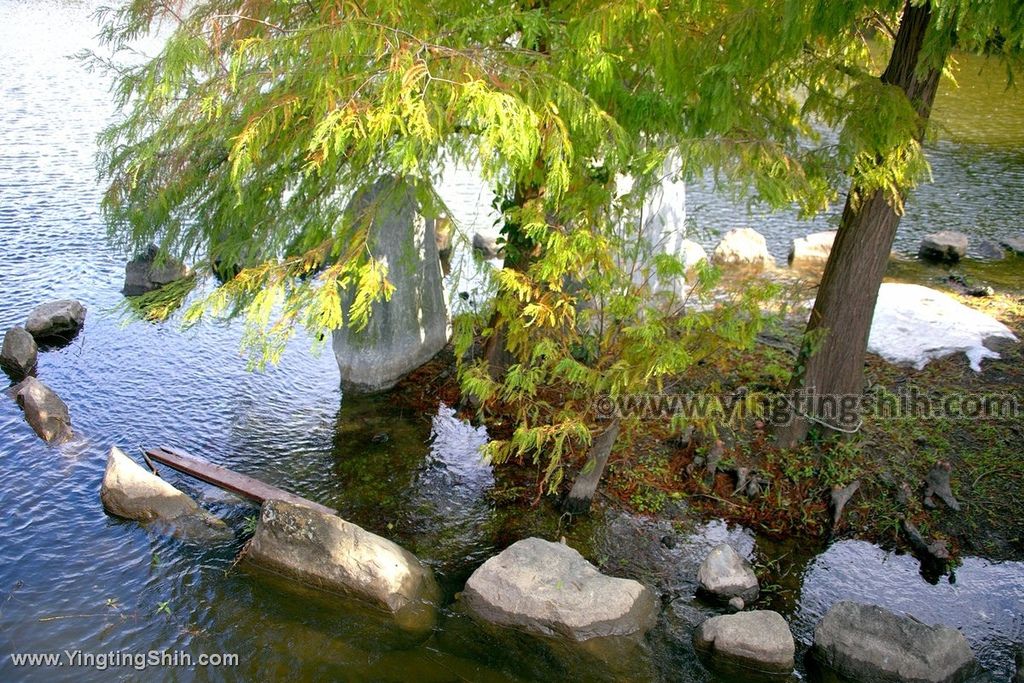 YTS_YTS_20191207_苗栗三灣銅鏡山林步道／環湖步道／三灣大草原／大龍崗湖Miaoli Sanwan Tongjing Forest Trail094_539A1359.jpg