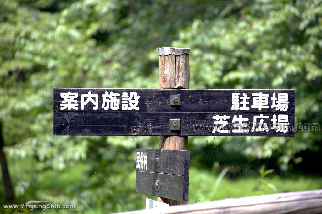 YTS_YTS_20190726_日本東北岩手北上市芝生広場Japan Tohoku Iwate Kamenoko Observation Deck003_539A5468.jpg