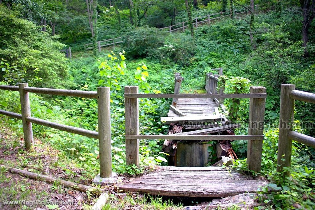 YTS_YTS_20190726_日本東北岩手北上市芝生広場Japan Tohoku Iwate Kamenoko Observation Deck009_539A5483.jpg