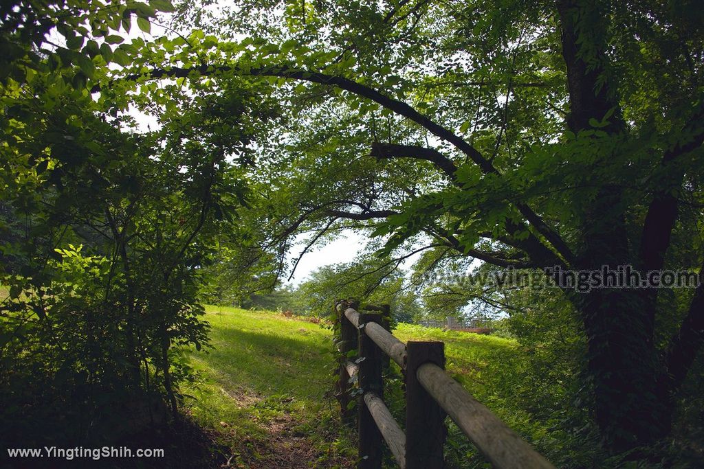 YTS_YTS_20190726_日本東北岩手北上市芝生広場Japan Tohoku Iwate Kamenoko Observation Deck013_539A5490.jpg